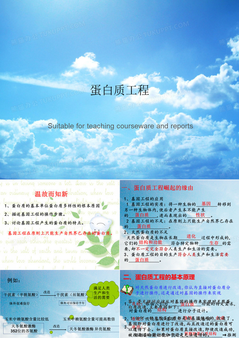 蛋白质工程