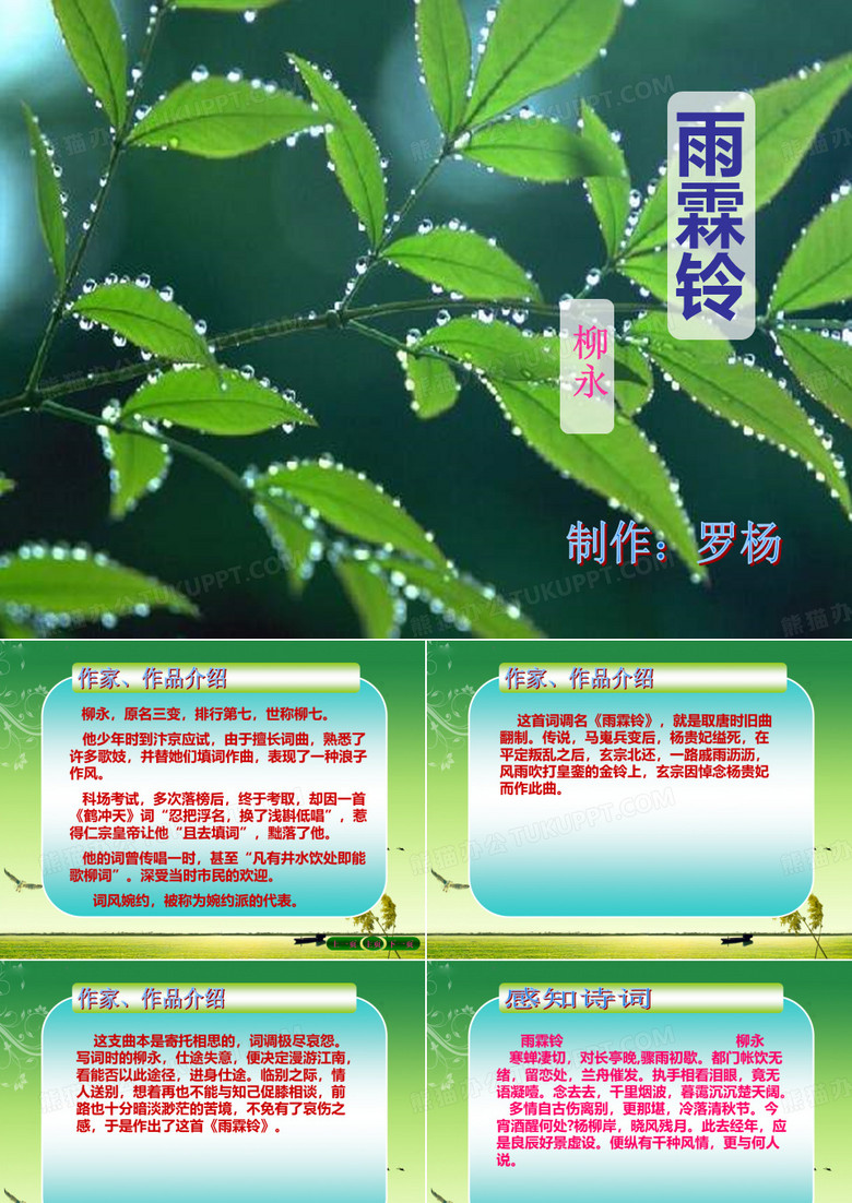 雨霖铃