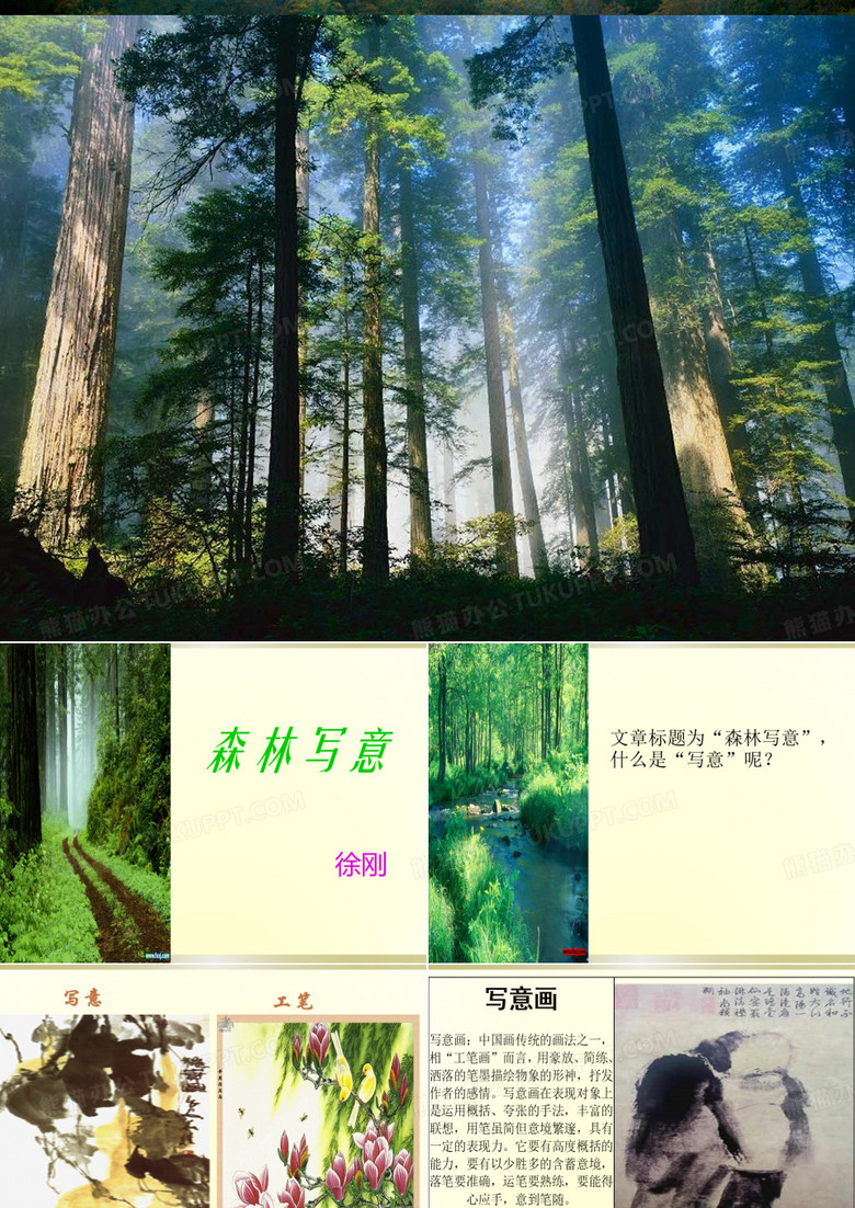森林写意