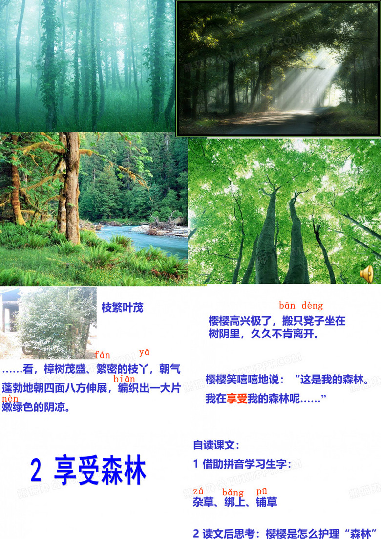 享受森林