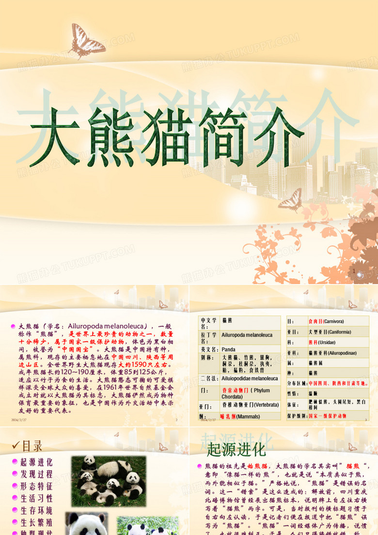 大熊猫简介PPT