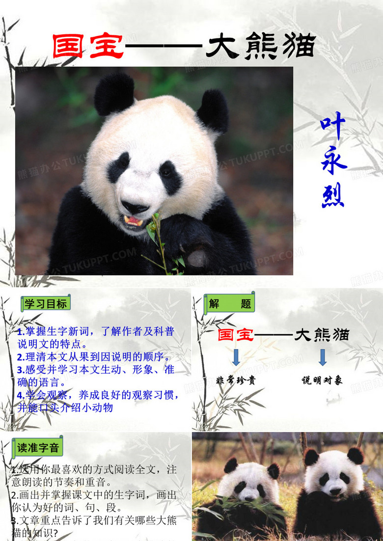 国宝——大熊猫 PPT