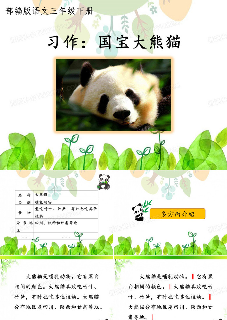 三年级下册习作《国宝大熊猫》