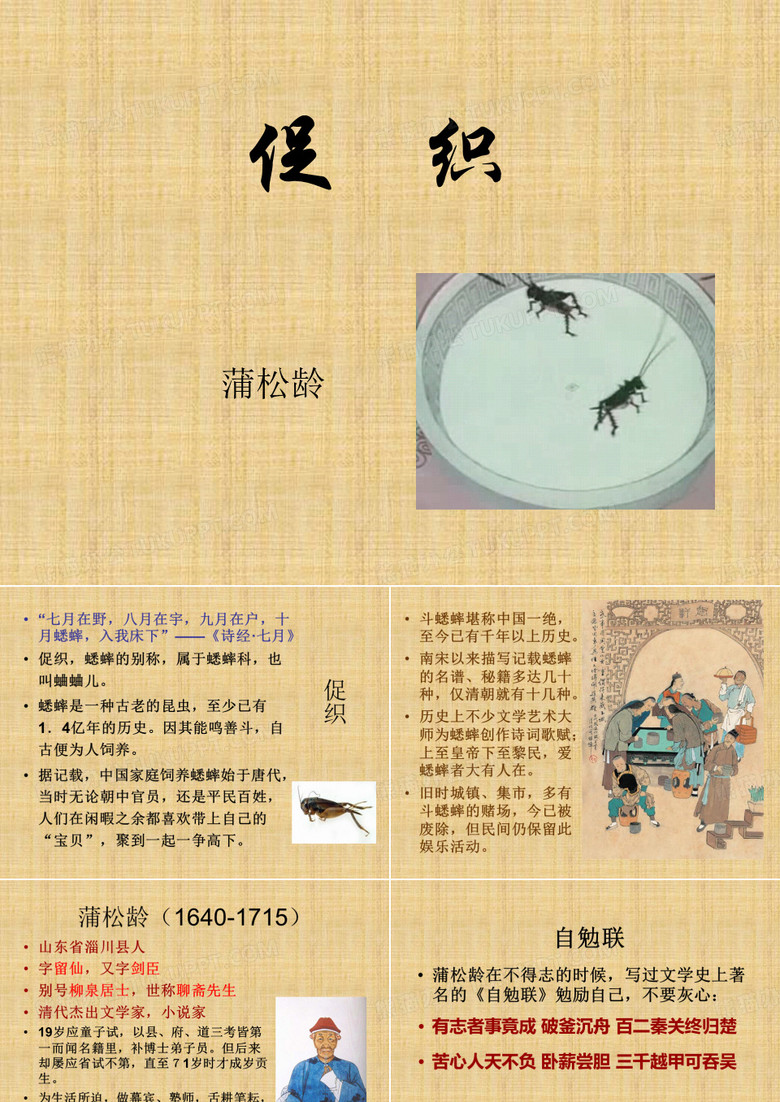 促织