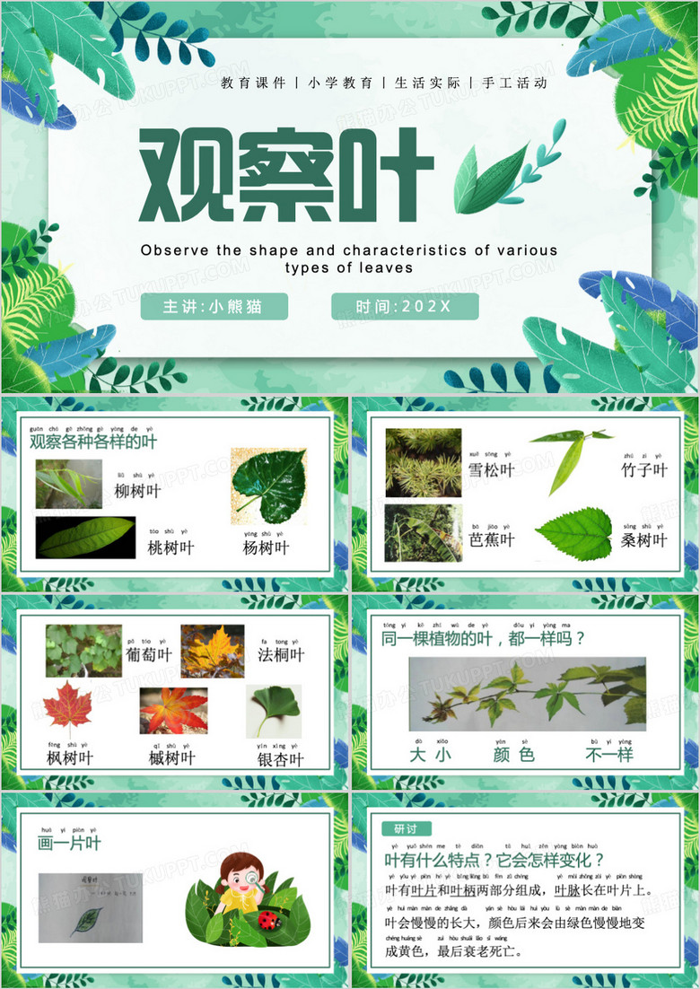 绿色清新风观察叶详解PPT模板