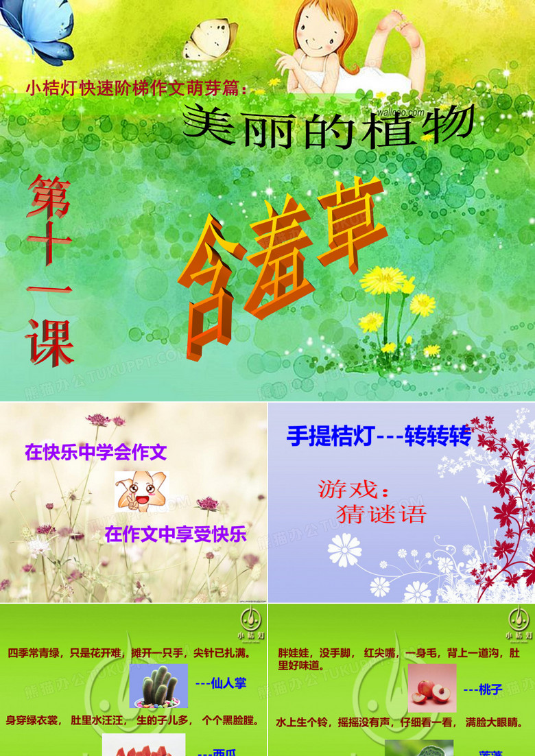 含羞草