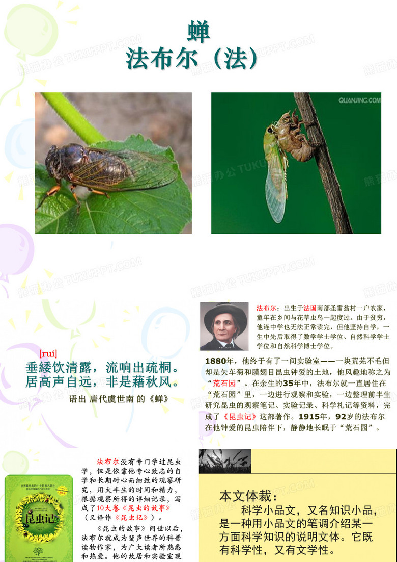 法布尔《蝉》课件