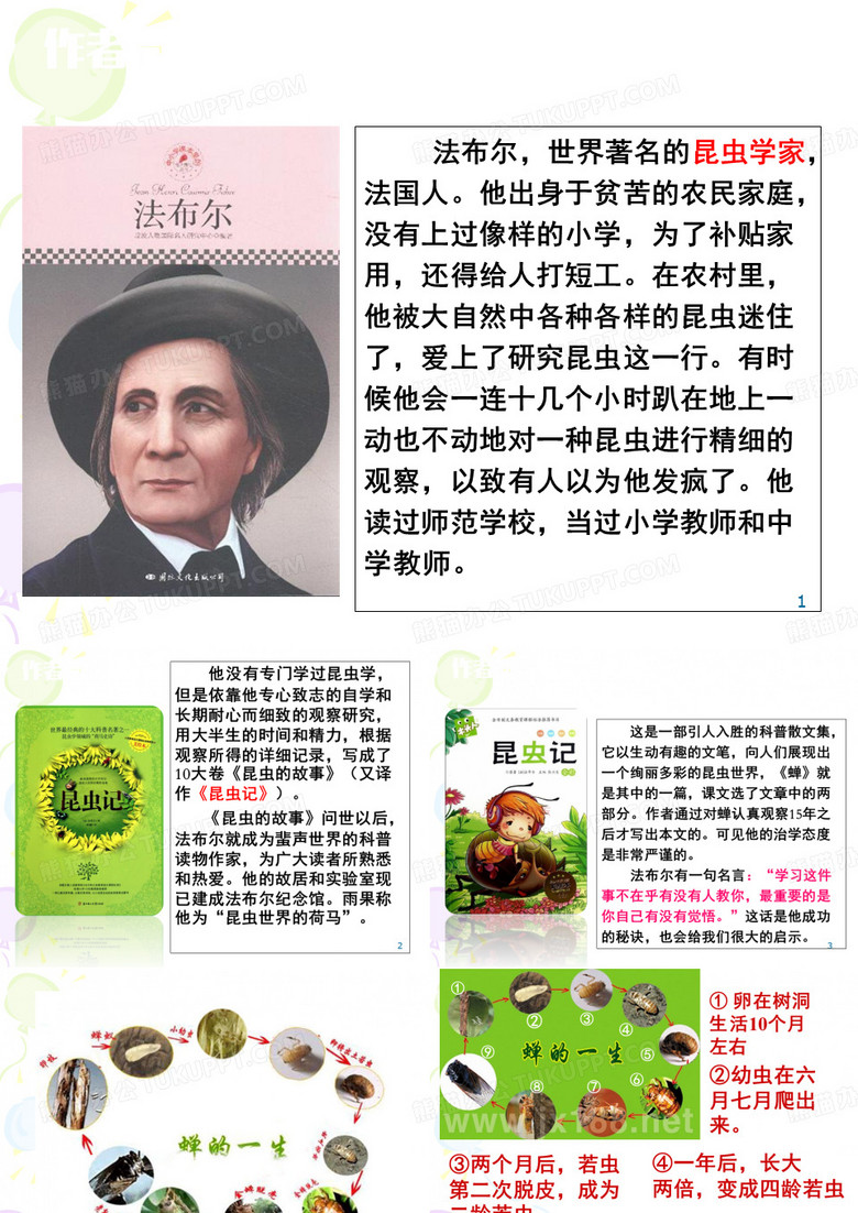 法布尔《蝉》(课堂PPT)