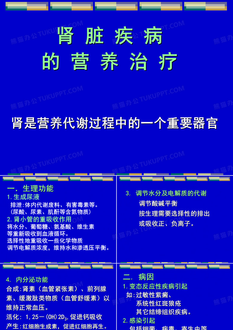 肾脏病