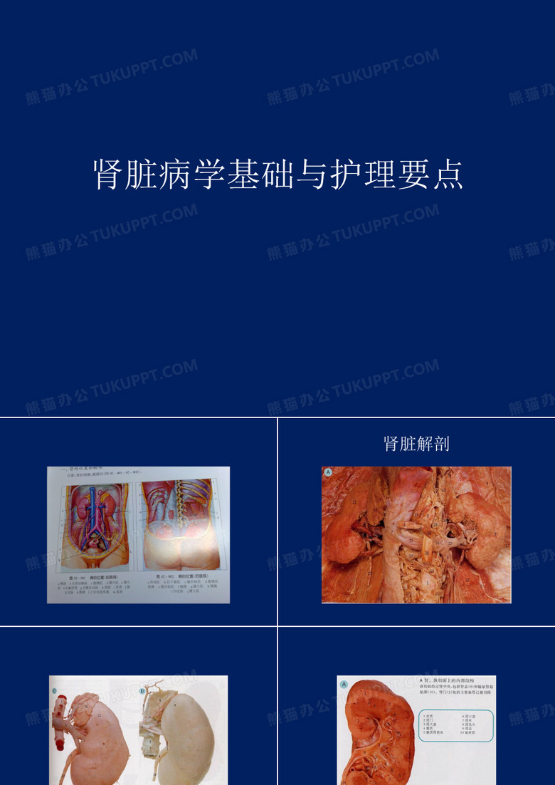 肾脏病
