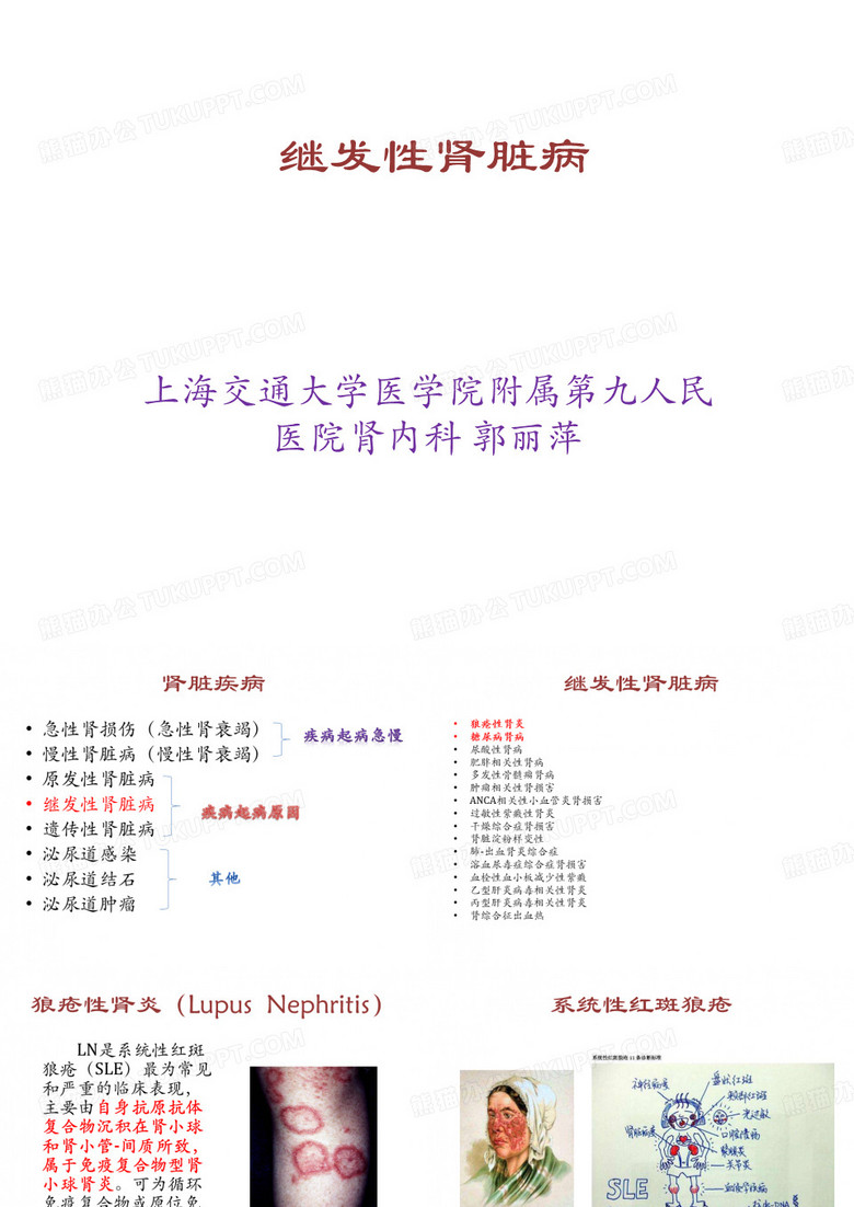 继发性肾脏病
