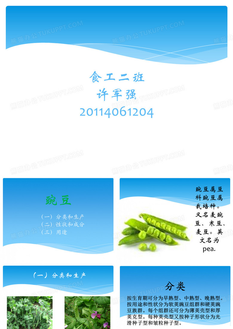 豌豆