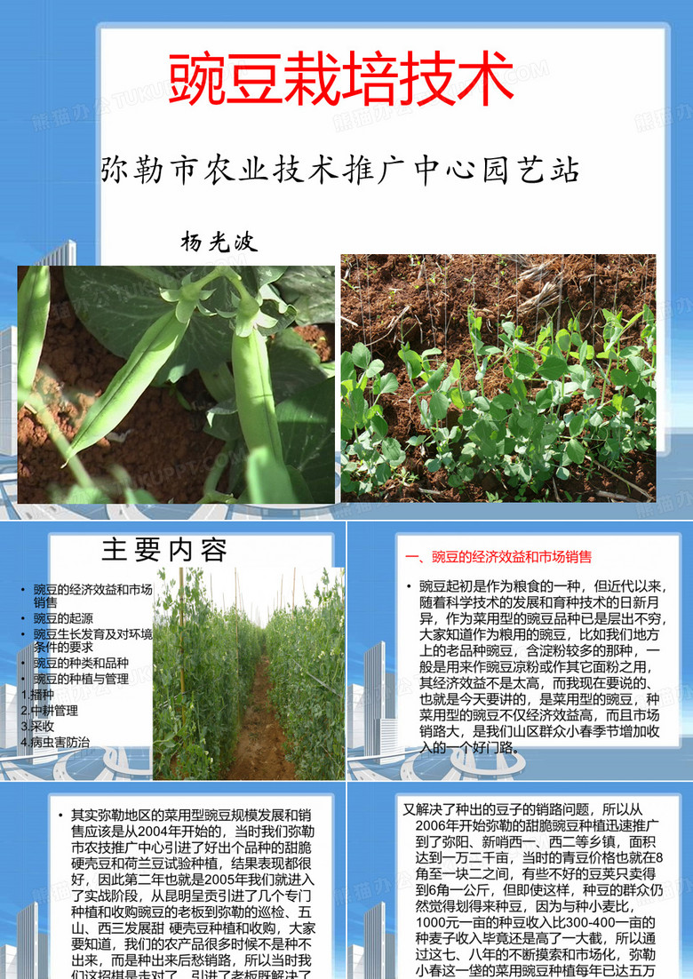 豌豆栽培技术