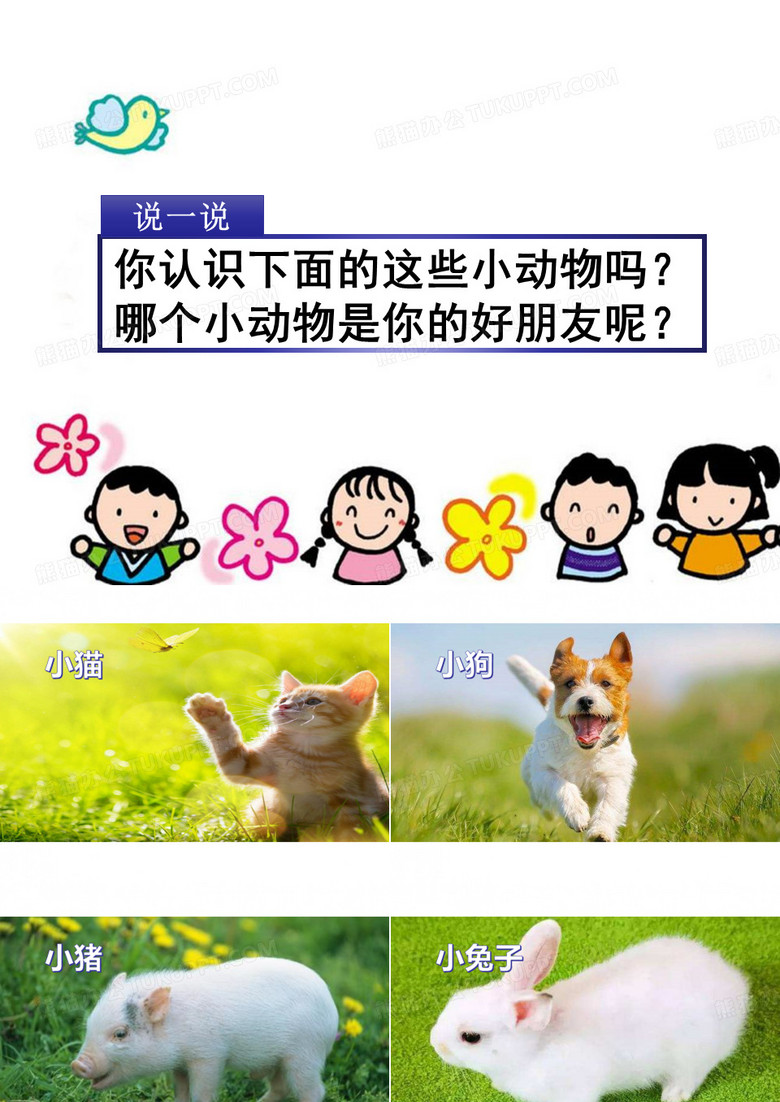 我的动物朋友