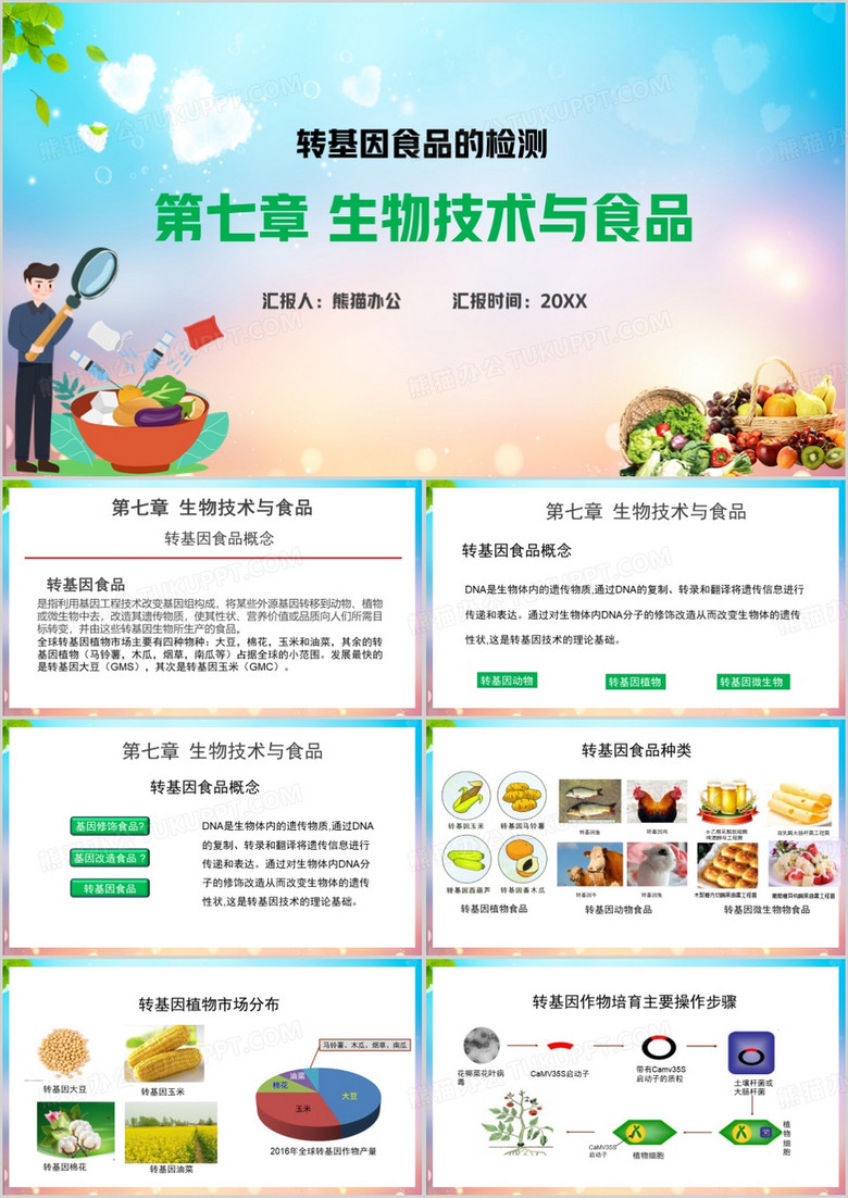 转基因食品的检测模板ppt