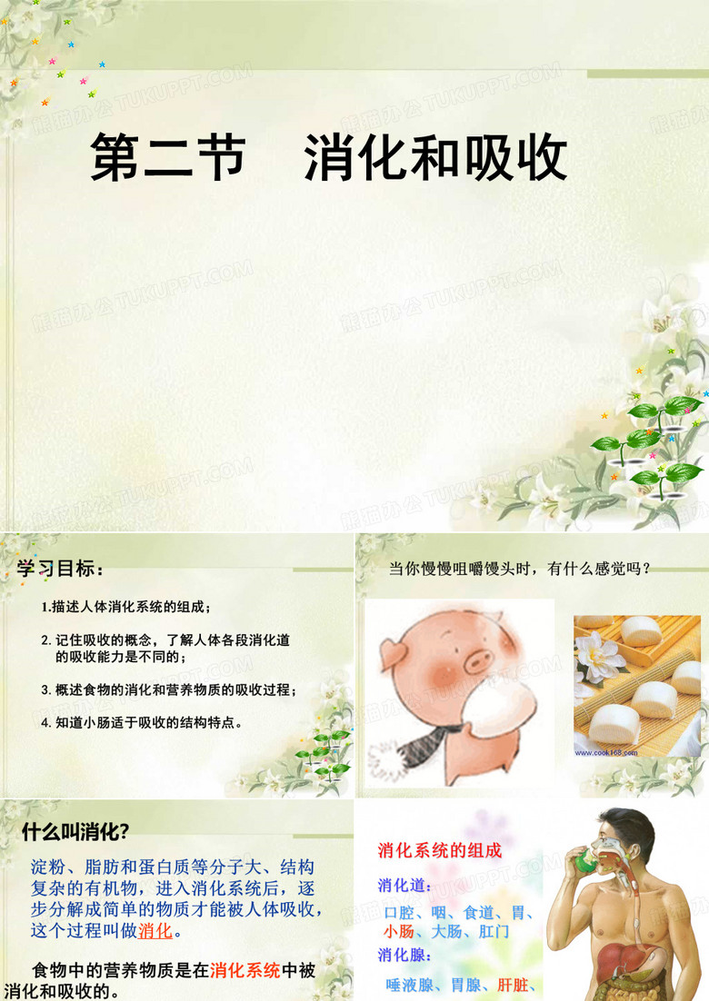消化和吸收