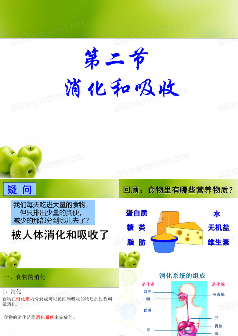 消化和吸收