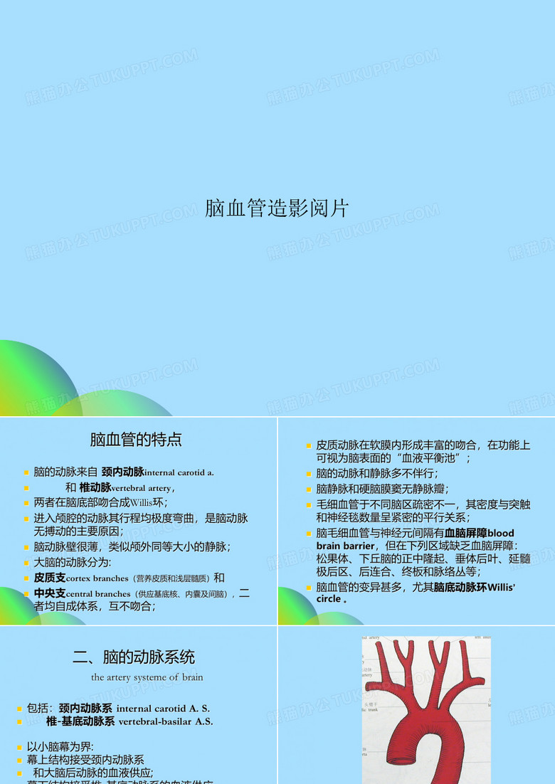 脑血管造影阅片