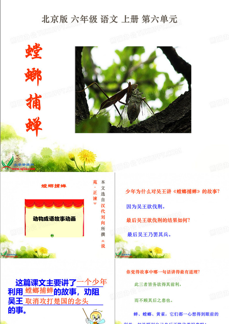 螳螂捕蝉