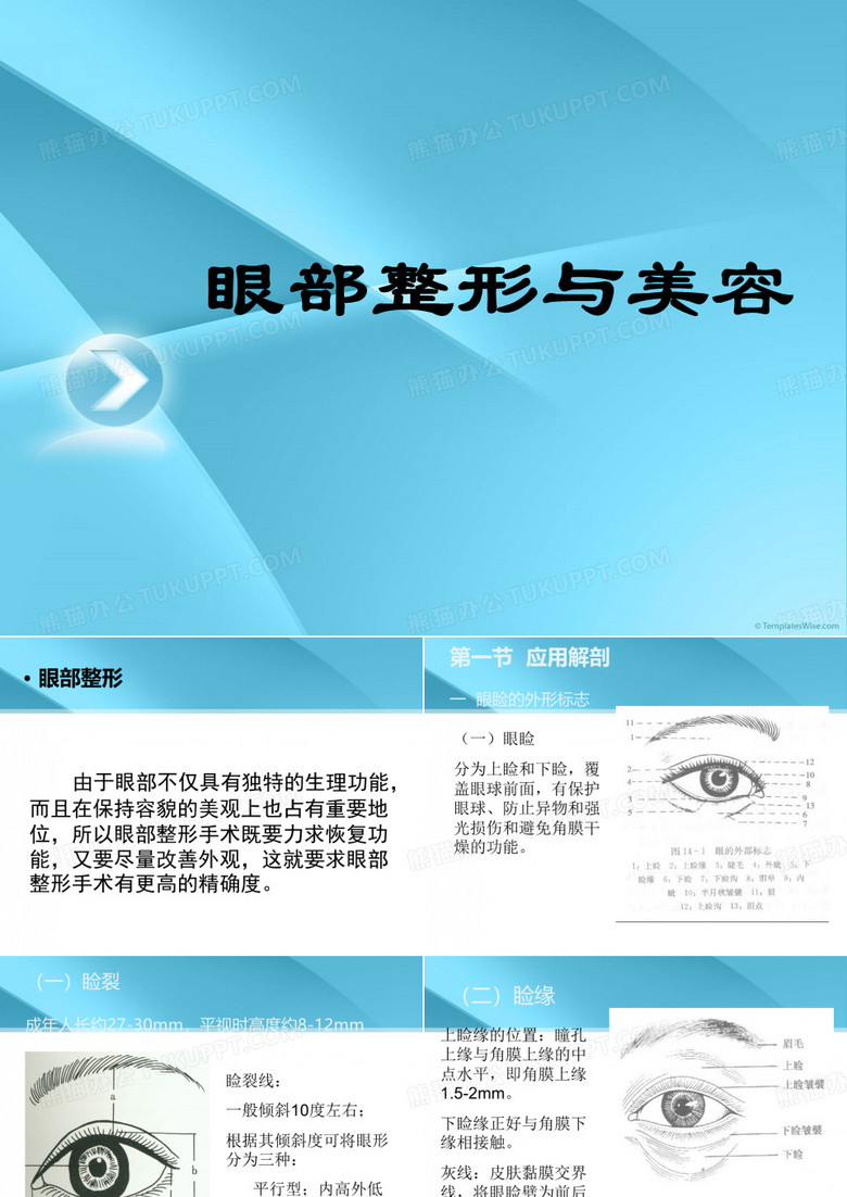 眼部整形与美容
