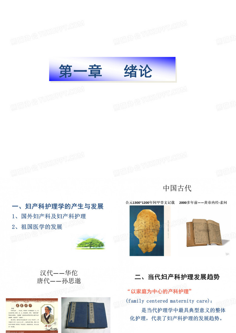 女性生殖系统解剖