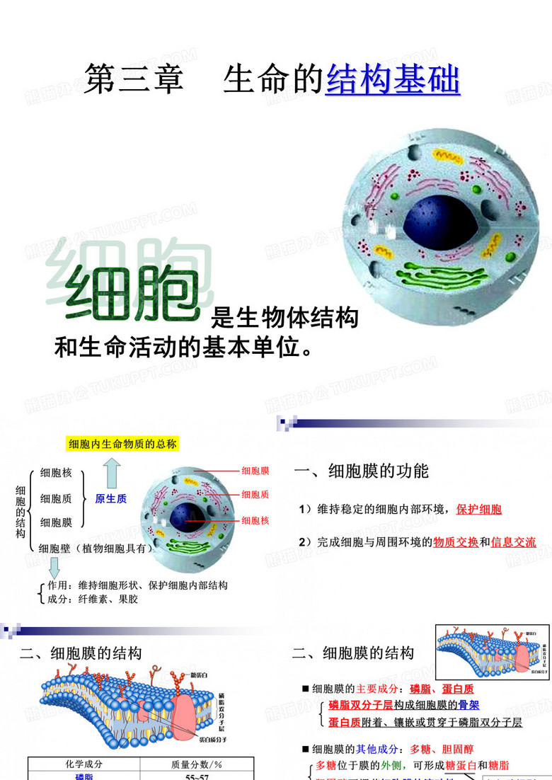 细胞膜