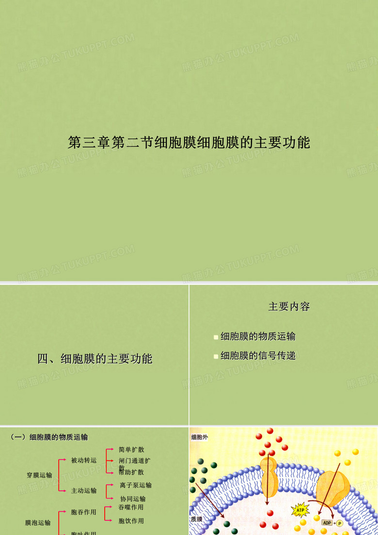 细胞膜细胞膜的主要功能
