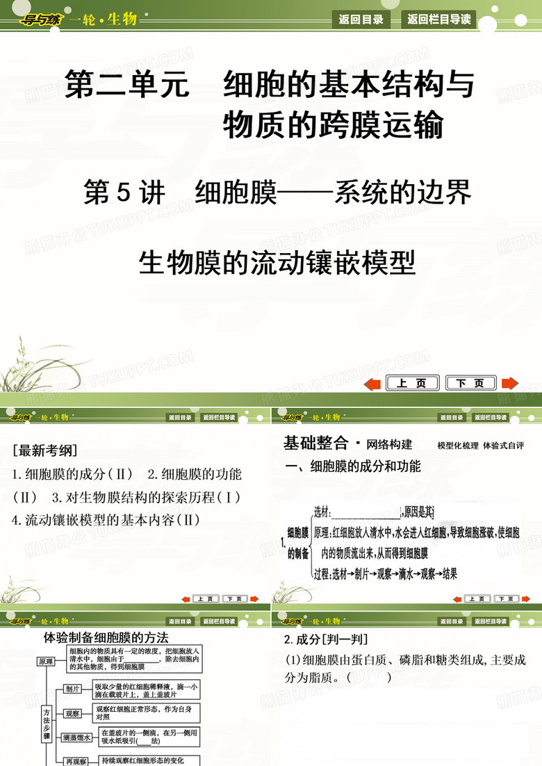 细胞膜