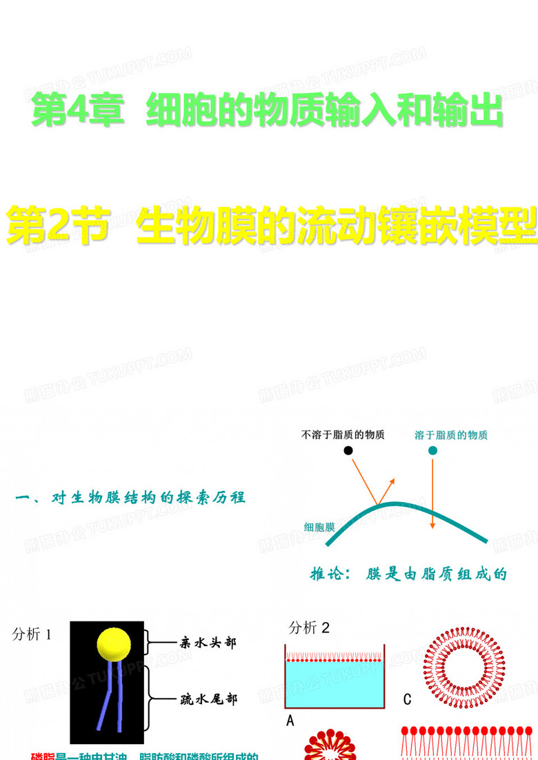 细胞膜