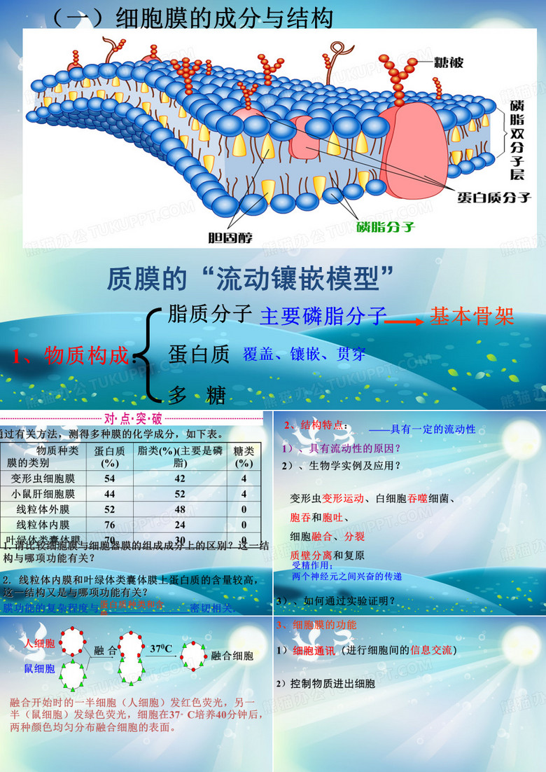 细胞膜一轮复习细胞膜课件