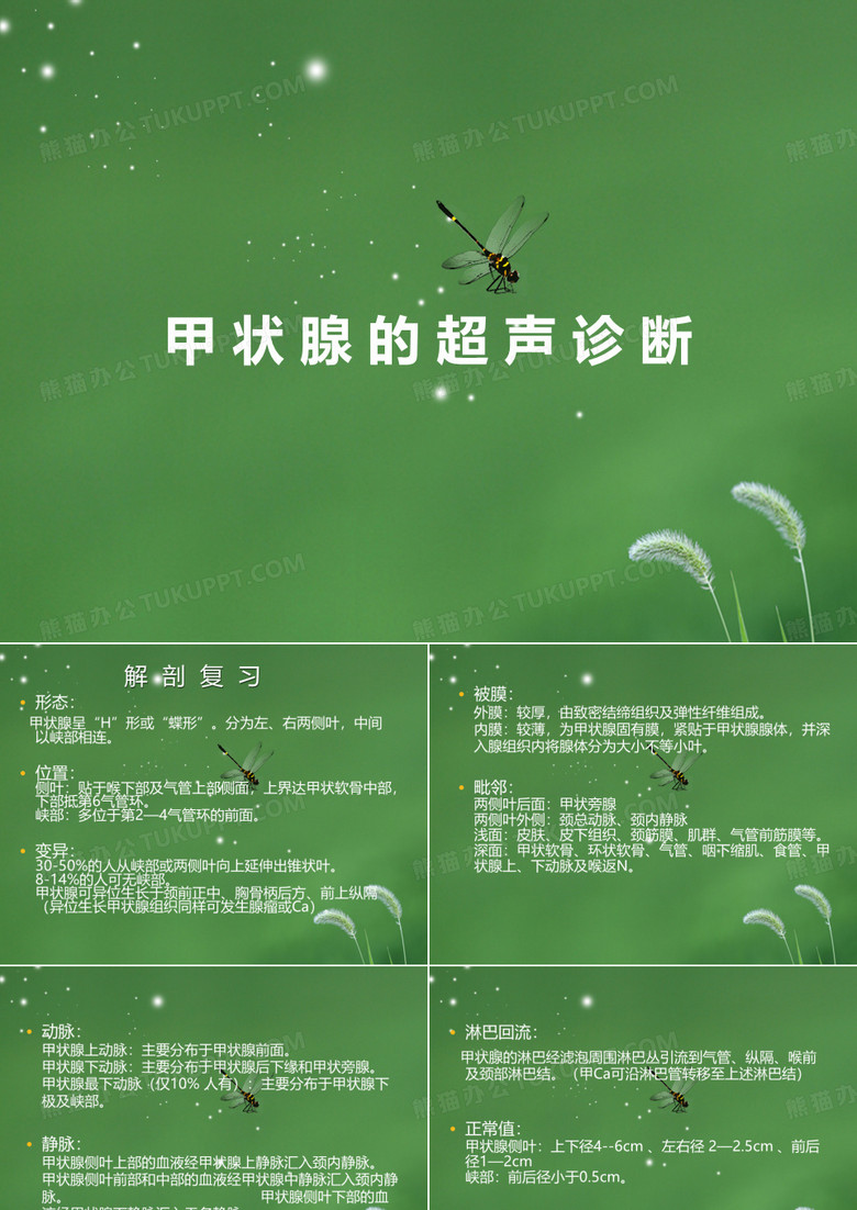 甲状腺的超声诊断