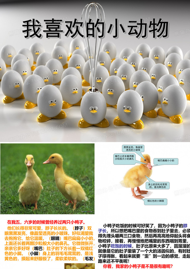 《我喜欢的小动物》