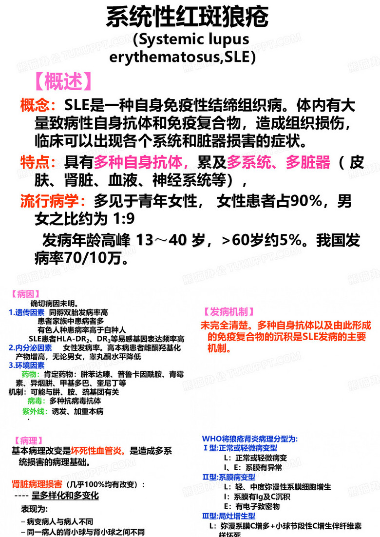 系统性系统性红斑狼疮