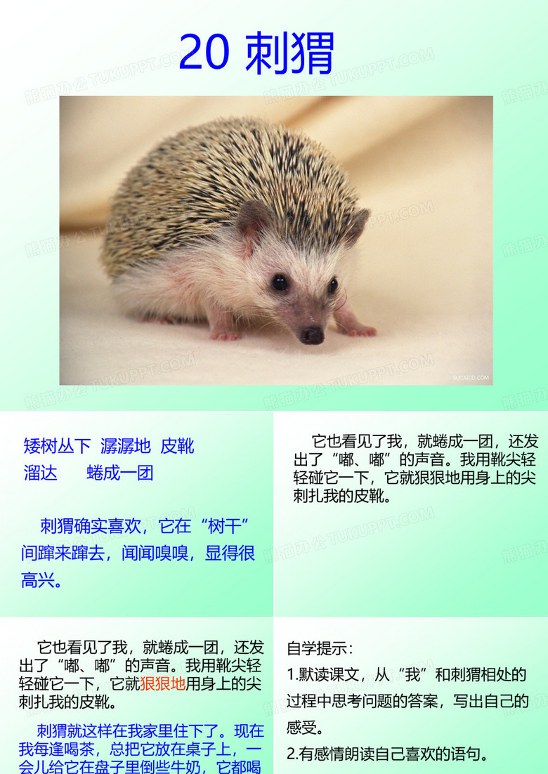 刺猬