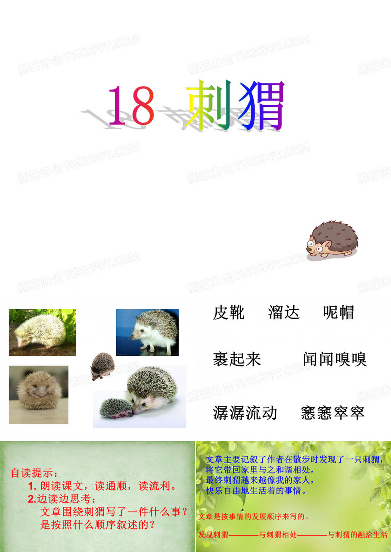 刺猬