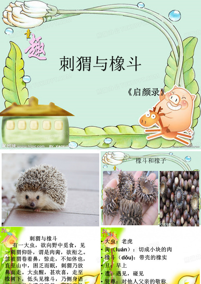 刺猬与橡斗