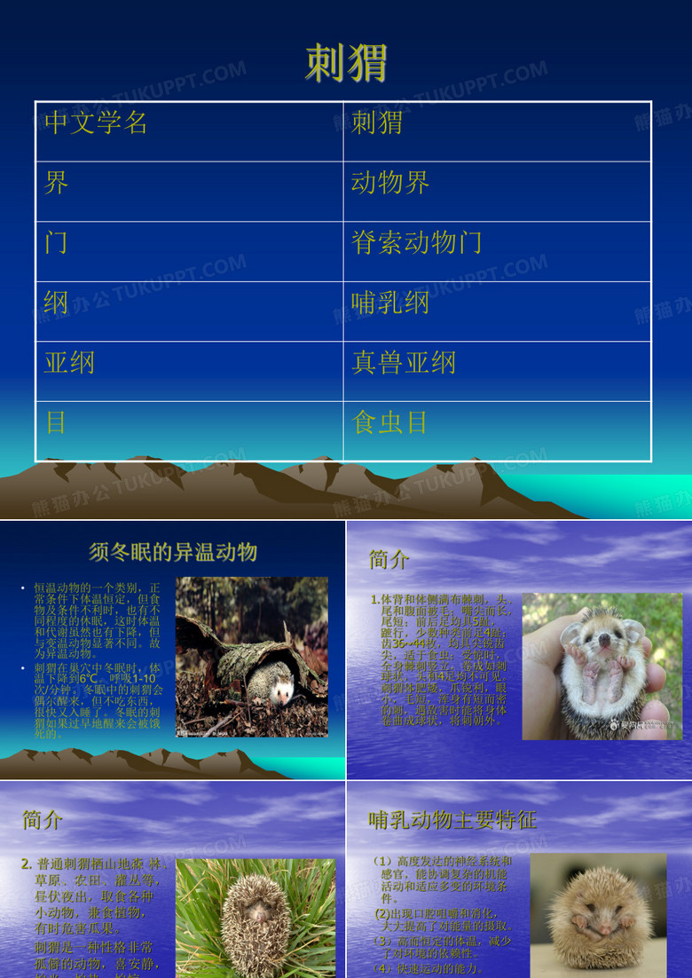 《刺猬》课件