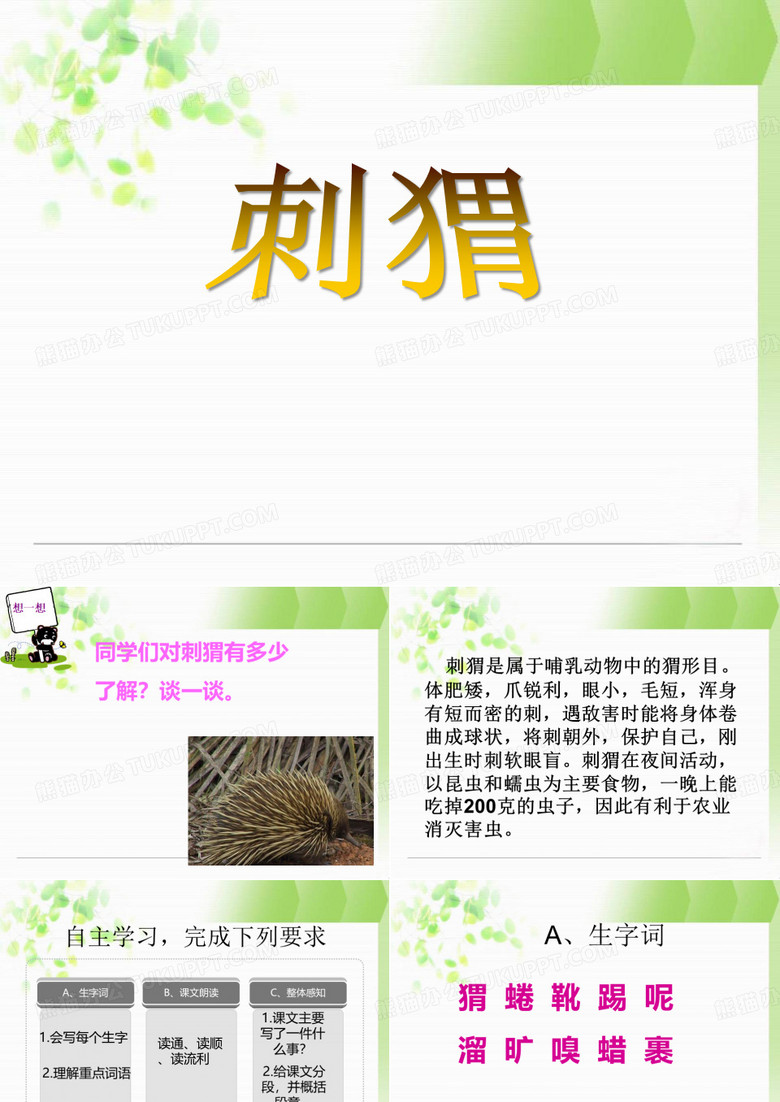 《刺猬》PPT