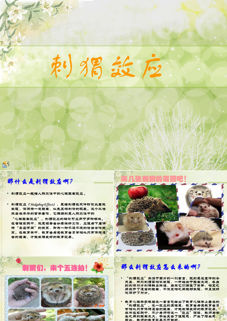 刺猬效应