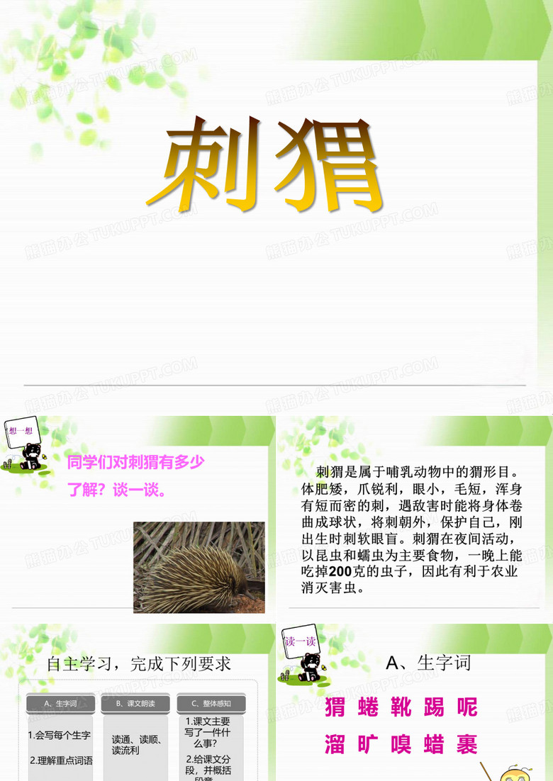 《刺猬》