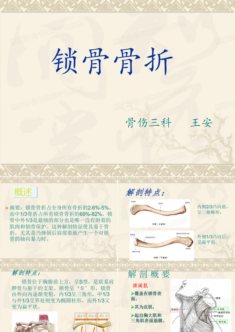 锁骨骨折 骨伤三科