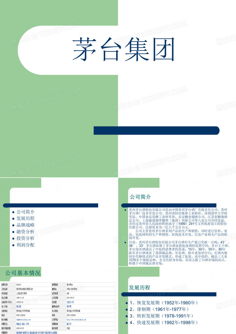 贵州茅台财务分析