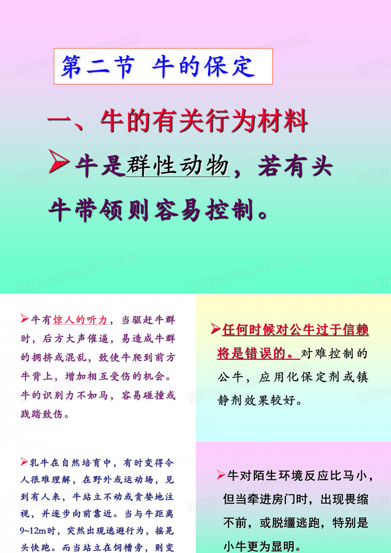 牛的保定