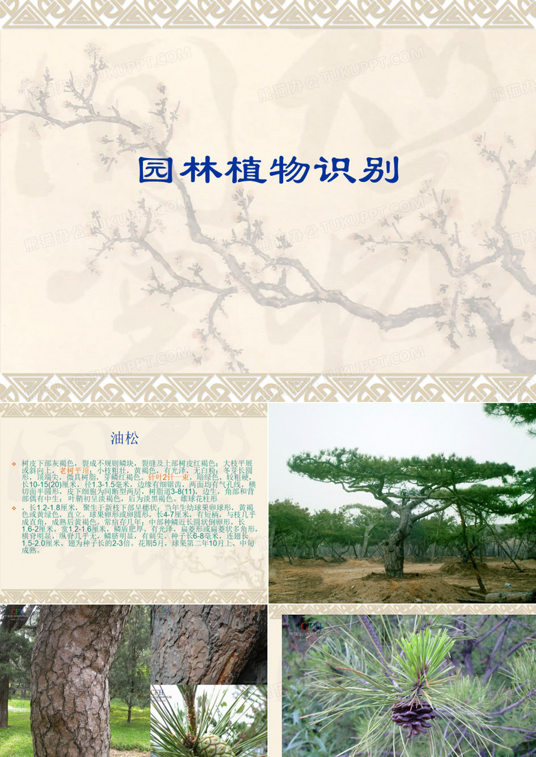 园林植物识别