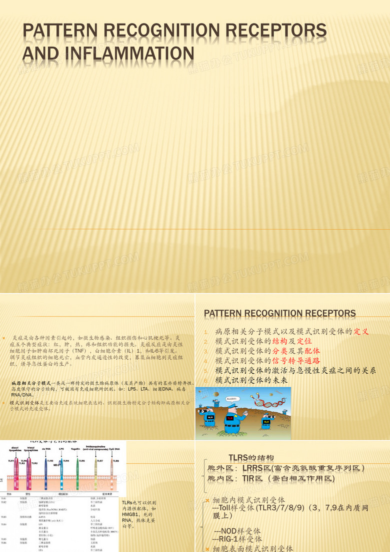 模式识别受体