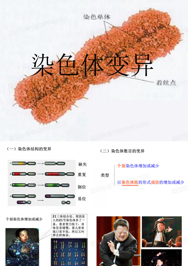 染色体变异
