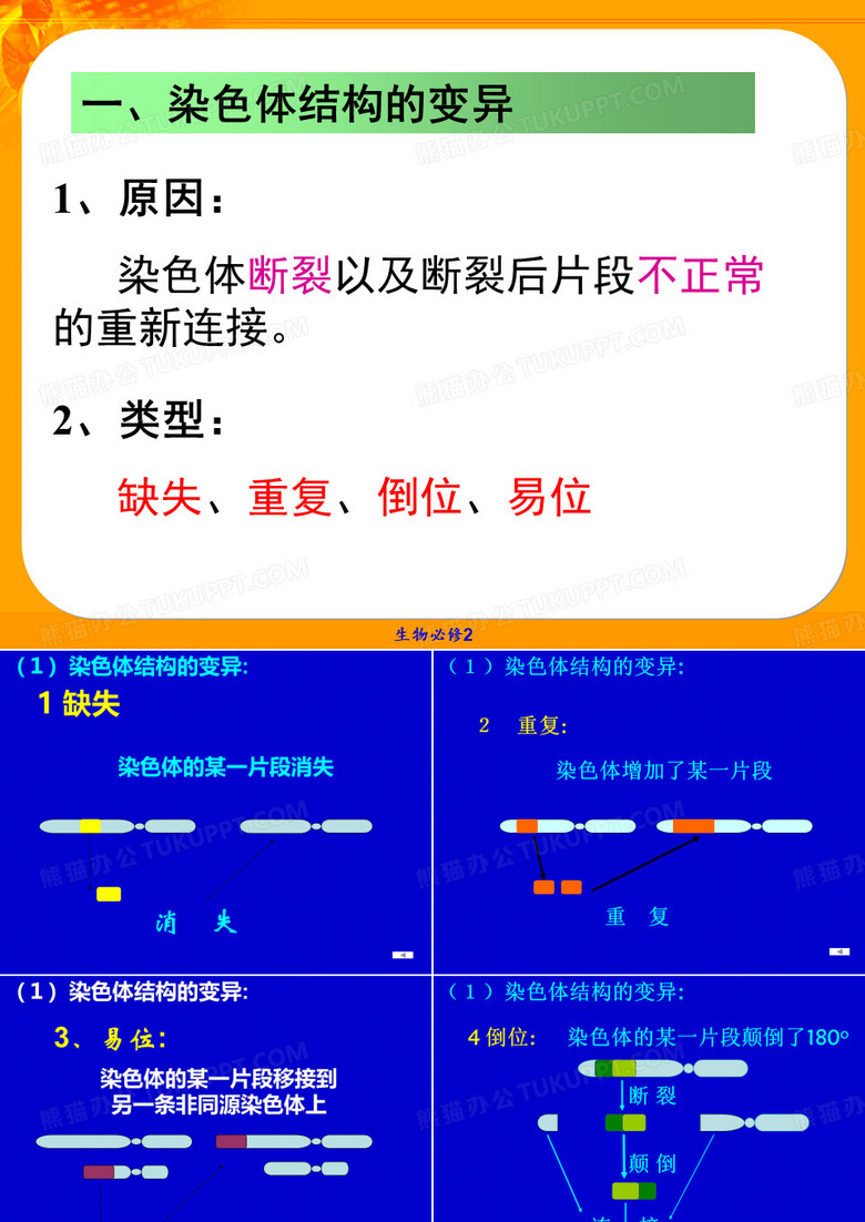 染色体变异()