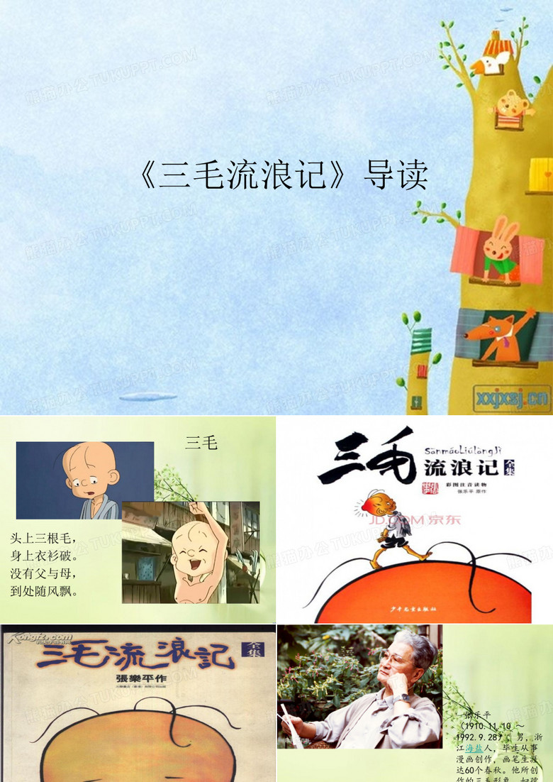 三毛导读