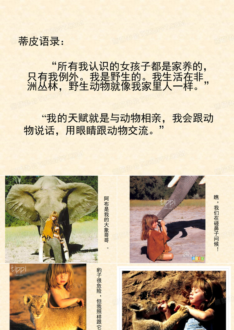 森林报