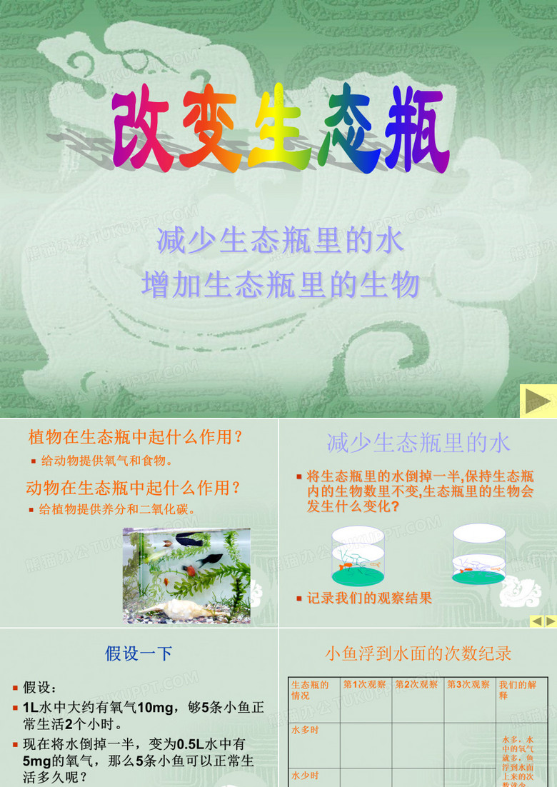 改变生态瓶